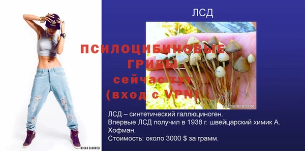 не бодяженный Арсеньев