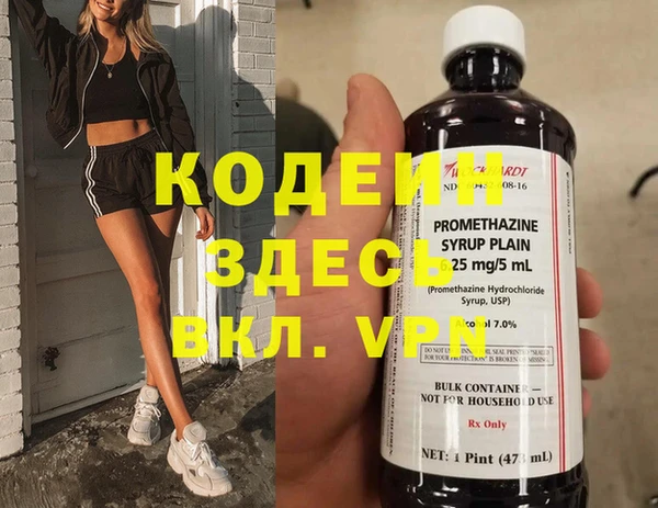 не бодяженный Арсеньев